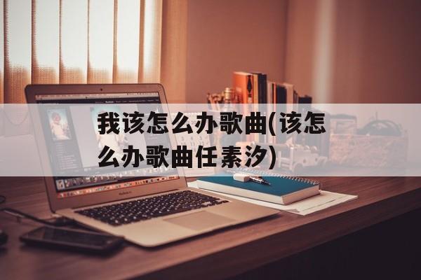我该怎么办歌曲(该怎么办歌曲任素汐)-第1张图片-