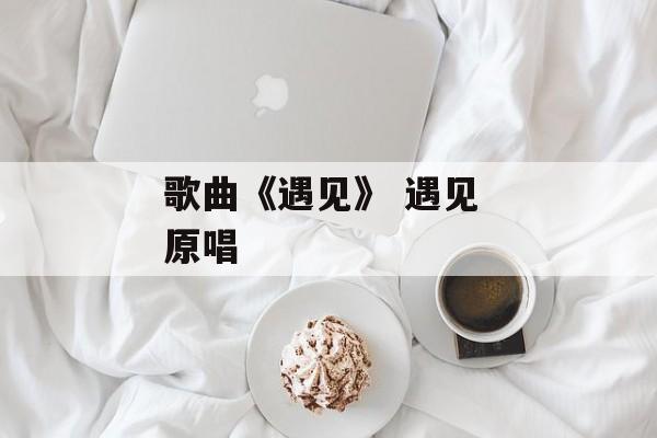 歌曲《遇见》 遇见 原唱-第1张图片-