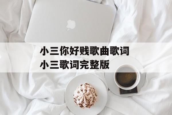 小三你好贱歌曲歌词 小三歌词完整版-第1张图片-