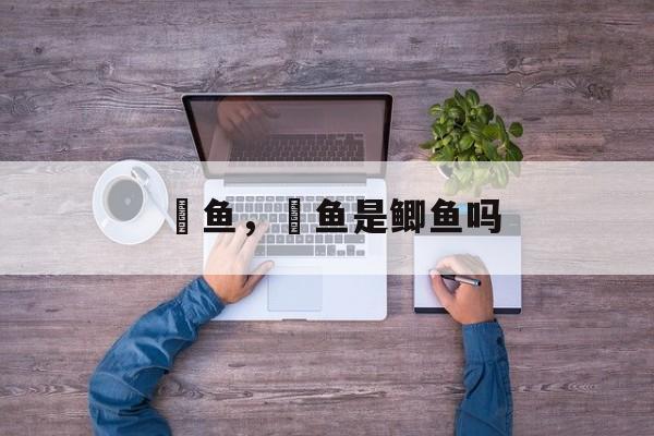鲗鱼，鲗鱼是鲫鱼吗-第1张图片-