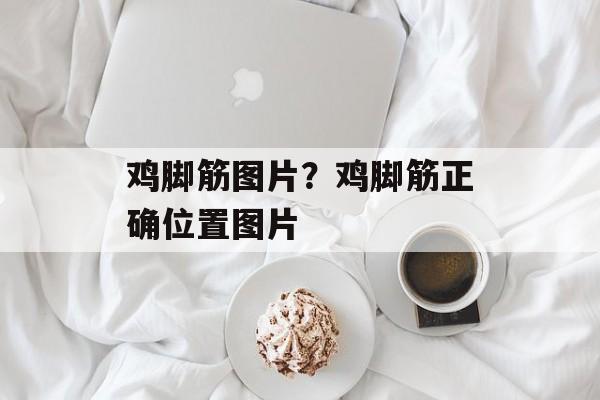 鸡脚筋图片？鸡脚筋正确位置图片-第1张图片-