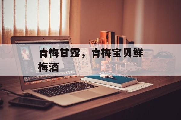青梅甘露，青梅宝贝鲜梅酒-第1张图片-