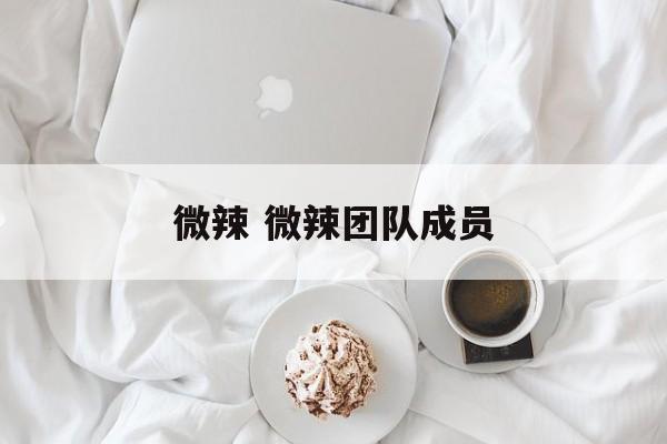 微辣 微辣团队成员-第1张图片-