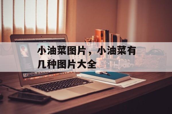 小油菜图片，小油菜有几种图片大全-第1张图片-