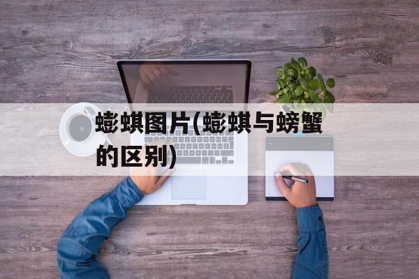 蟛蜞图片(蟛蜞与螃蟹的区别)-第1张图片-