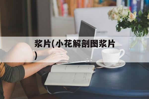 浆片(小花解剖图浆片)-第1张图片-