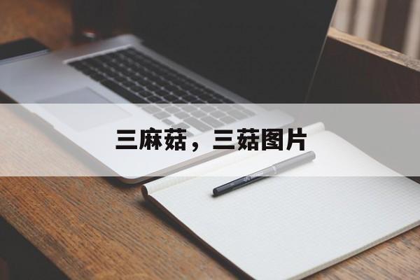 三麻菇，三菇图片-第1张图片-