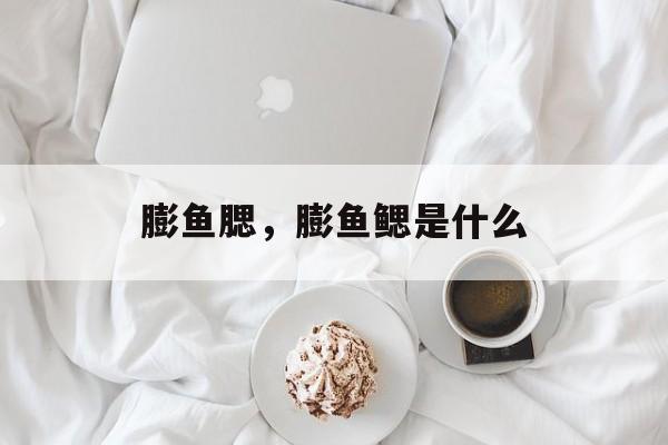 膨鱼腮，膨鱼鳃是什么-第1张图片-