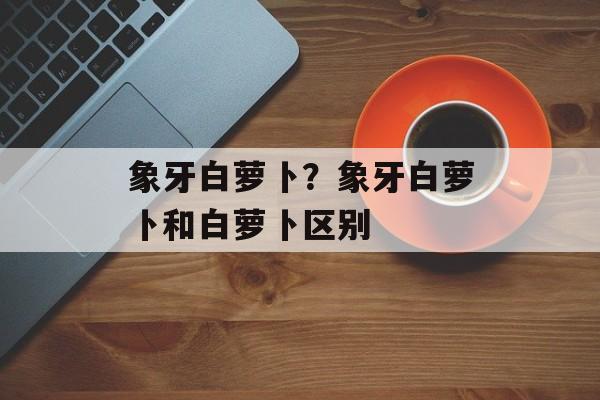 象牙白萝卜？象牙白萝卜和白萝卜区别-第1张图片-