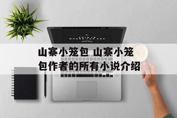 山寨小笼包 山寨小笼包作者的所有小说介绍-第1张图片-