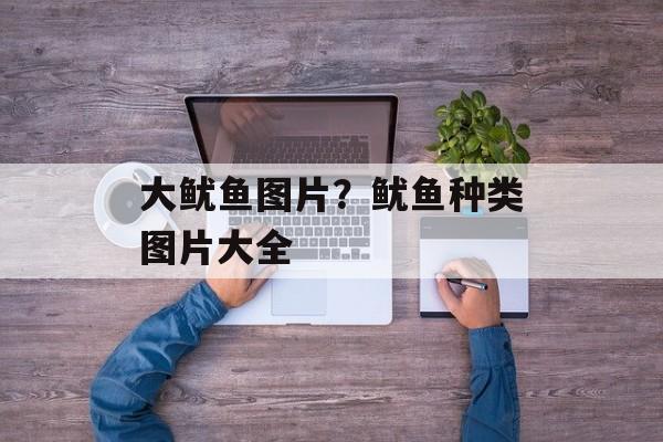 大鱿鱼图片？鱿鱼种类图片大全-第1张图片-