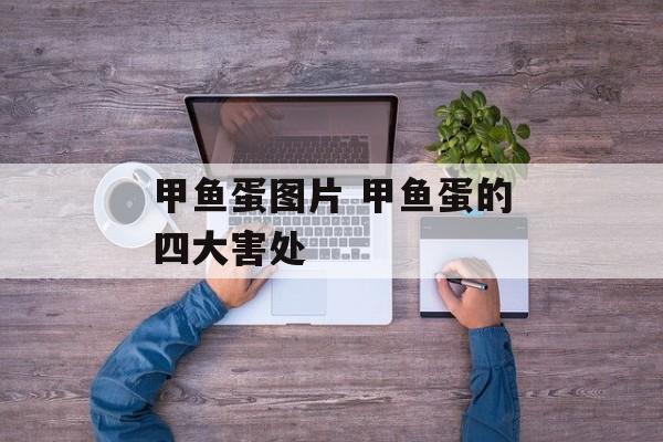 甲鱼蛋图片 甲鱼蛋的四大害处-第1张图片-