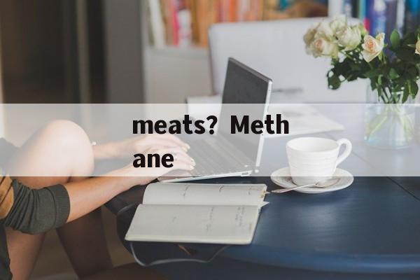 meats？Methane-第1张图片-