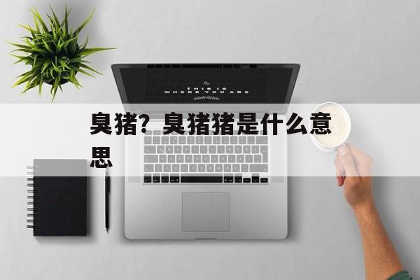 臭猪？臭猪猪是什么意思-第1张图片-