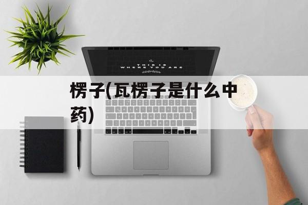 楞子(瓦楞子是什么中药)-第1张图片-