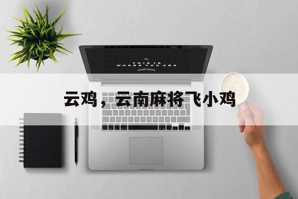 云鸡，云南麻将飞小鸡-第1张图片-