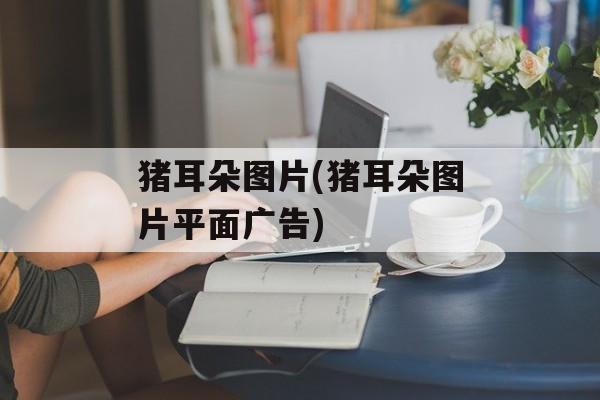 猪耳朵图片(猪耳朵图片平面广告)-第1张图片-