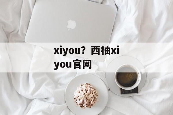 xiyou？西柚xiyou官网-第1张图片-