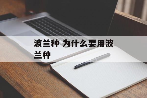 波兰种 为什么要用波兰种-第1张图片-