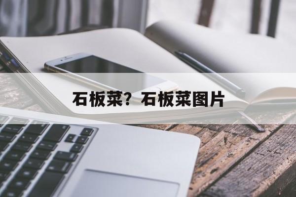 石板菜？石板菜图片-第1张图片-