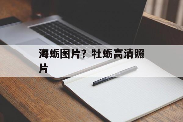 海蛎图片？牡蛎高清照片-第1张图片-