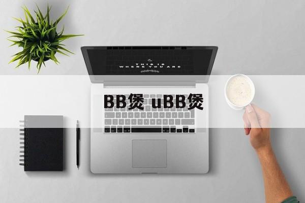 BB煲 uBB煲-第1张图片-