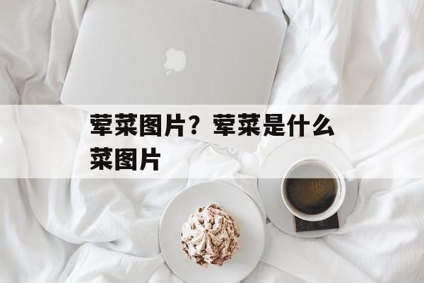荤菜图片？荤菜是什么菜图片-第1张图片-