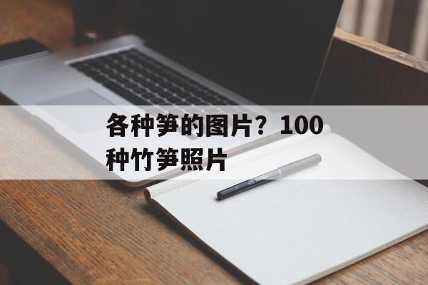 各种笋的图片？100种竹笋照片-第1张图片-