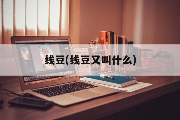 线豆(线豆又叫什么)-第1张图片-