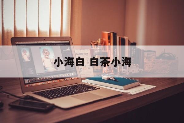 小海白 白茶小海-第1张图片-