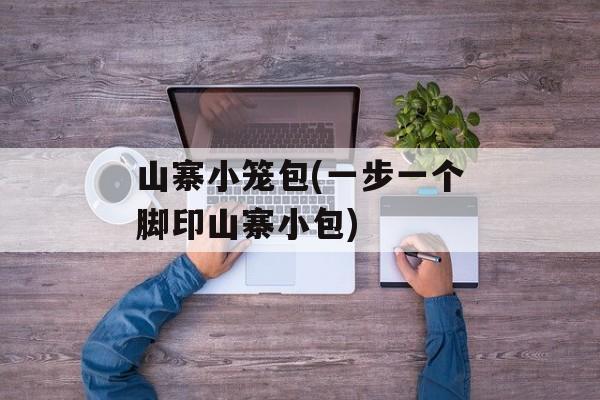山寨小笼包(一步一个脚印山寨小包)-第1张图片-