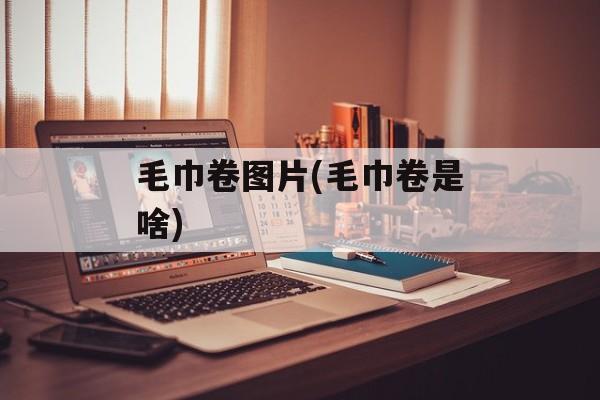 毛巾卷图片(毛巾卷是啥)-第1张图片-