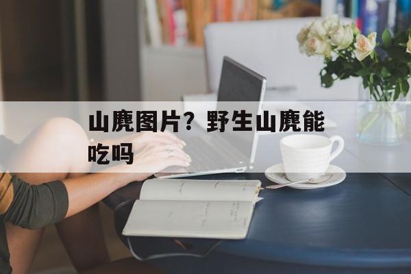 山麂图片？野生山麂能吃吗-第1张图片-