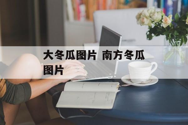大冬瓜图片 南方冬瓜图片-第1张图片-