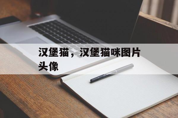 汉堡猫，汉堡猫咪图片头像-第1张图片-