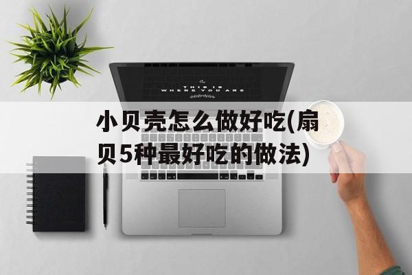 小贝壳怎么做好吃(扇贝5种最好吃的做法)-第1张图片-