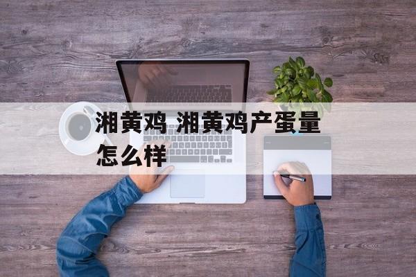湘黄鸡 湘黄鸡产蛋量怎么样-第1张图片-
