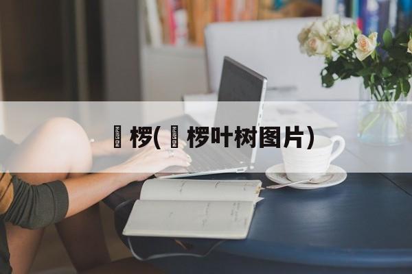 桲椤(桲椤叶树图片)-第1张图片-