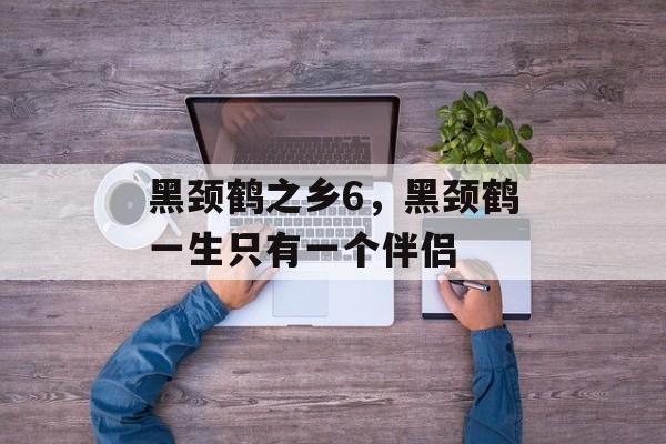 黑颈鹤之乡6，黑颈鹤一生只有一个伴侣-第1张图片-