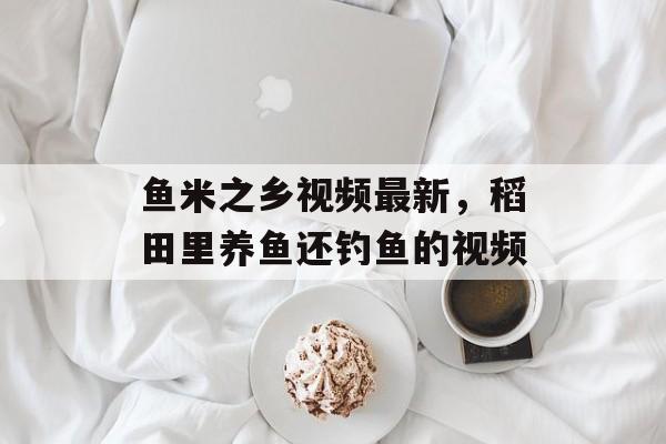鱼米之乡视频最新，稻田里养鱼还钓鱼的视频-第1张图片-