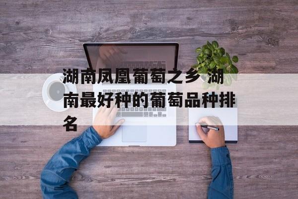 湖南凤凰葡萄之乡 湖南最好种的葡萄品种排名-第1张图片-