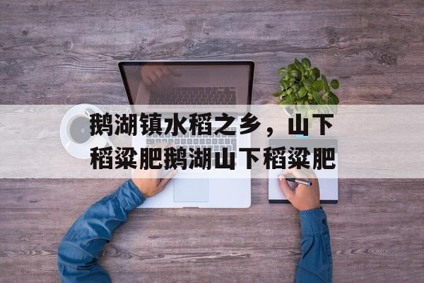 鹅湖镇水稻之乡，山下稻粱肥鹅湖山下稻粱肥-第1张图片-