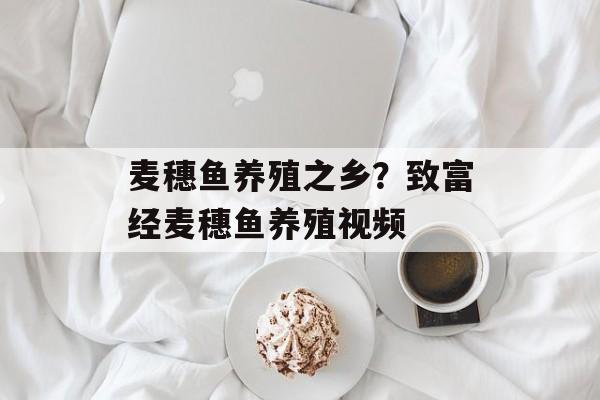 麦穗鱼养殖之乡？致富经麦穗鱼养殖视频-第1张图片-