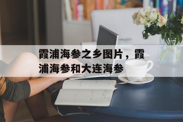 霞浦海参之乡图片，霞浦海参和大连海参-第1张图片-
