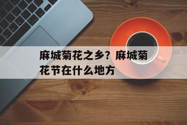 麻城菊花之乡？麻城菊花节在什么地方-第1张图片-