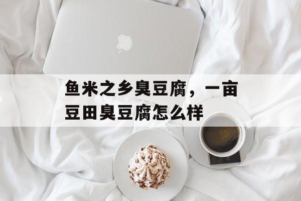 鱼米之乡臭豆腐，一亩豆田臭豆腐怎么样-第1张图片-