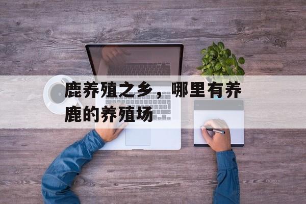 鹿养殖之乡，哪里有养鹿的养殖场-第1张图片-