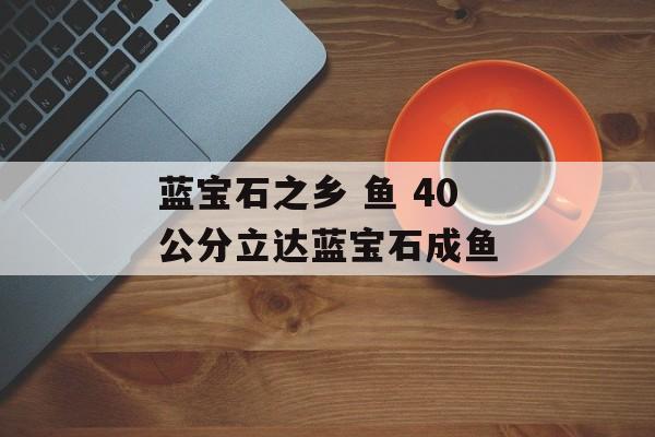 蓝宝石之乡 鱼 40公分立达蓝宝石成鱼-第1张图片-