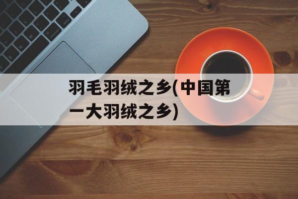 羽毛羽绒之乡(中国第一大羽绒之乡)-第1张图片-