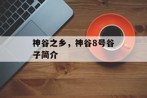 神谷之乡，神谷8号谷子简介-第1张图片-